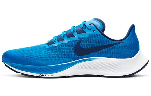 Nike Pegasus 37