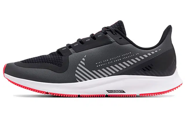 Nike Pegasus 36 Shield 36