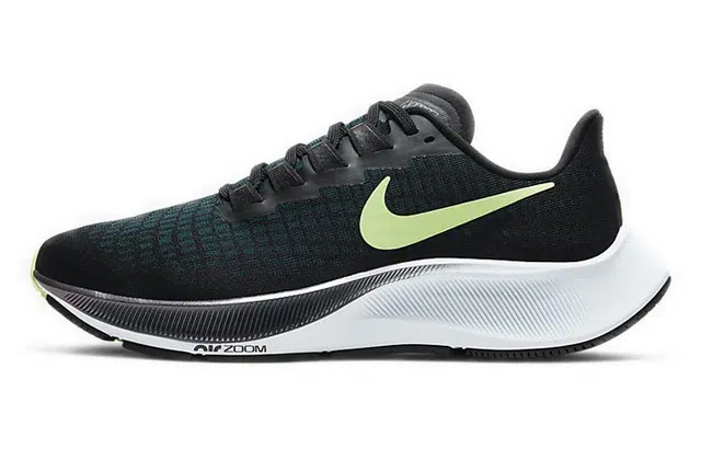 Nike Pegasus 37 Zoom 37