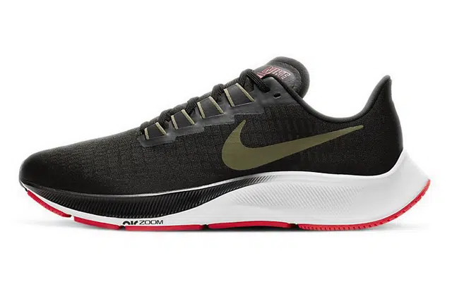 Nike Pegasus 37 37