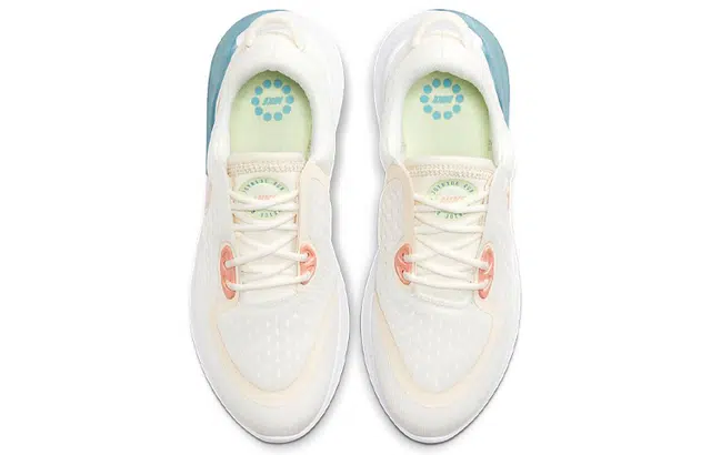 Nike Joyride Dual Run 1