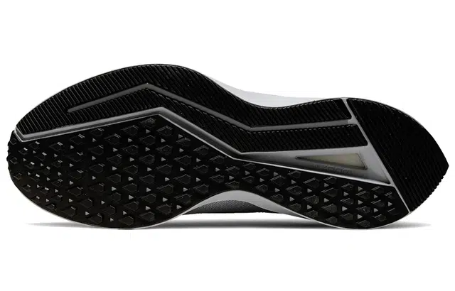 Nike Zoom Winflo 6 Shield