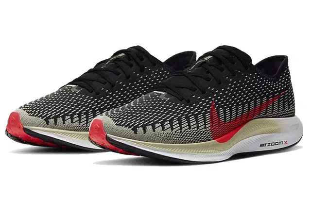 Nike Pegasus turbo 2