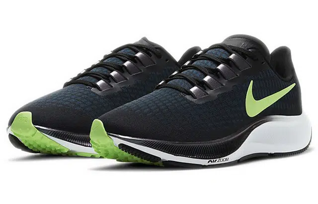 Nike Pegasus 37 37