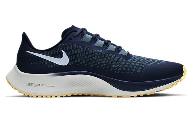 Nike Pegasus 37