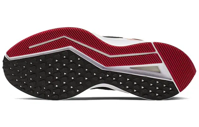 Nike Zoom Winflo 6