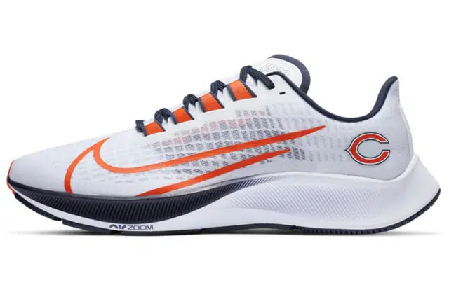 Nike Air Zoom Pegasus 37 "Chicago Bears"