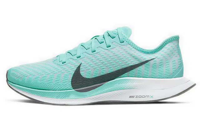 Nike Pegasus turbo 2