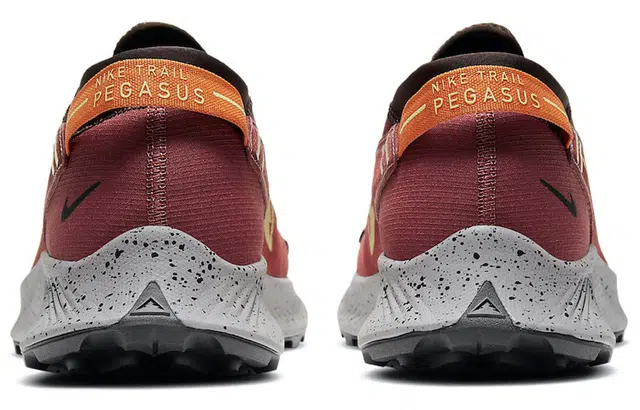 Nike Pegasus Trail 2
