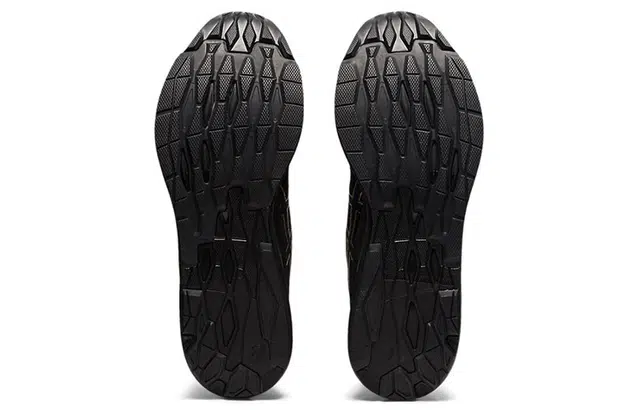 Asics EvoRide 1 Orphe S