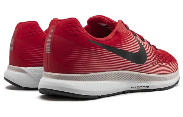 Nike Pegasus 34 Zoom 34