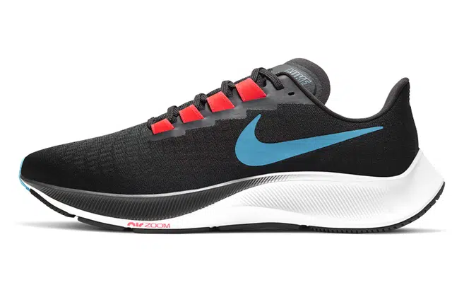 Nike Pegasus 37 TPU