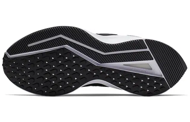 Nike Zoom Winflo 6