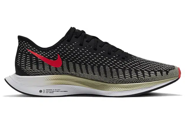 Nike Pegasus turbo 2