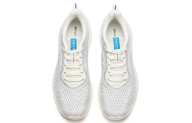 Anta