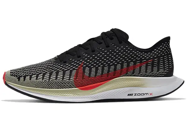 Nike Pegasus turbo 2