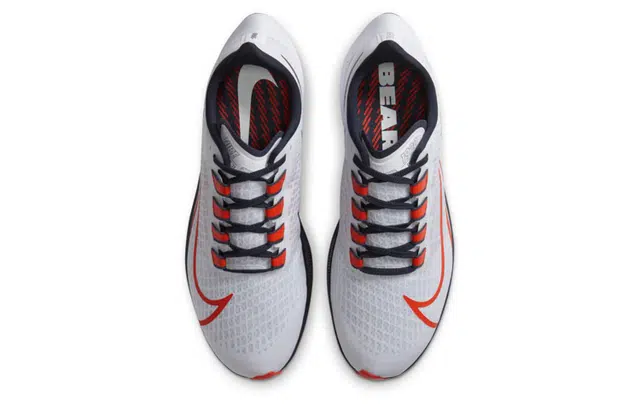 Nike Air Zoom Pegasus 37 "Chicago Bears"