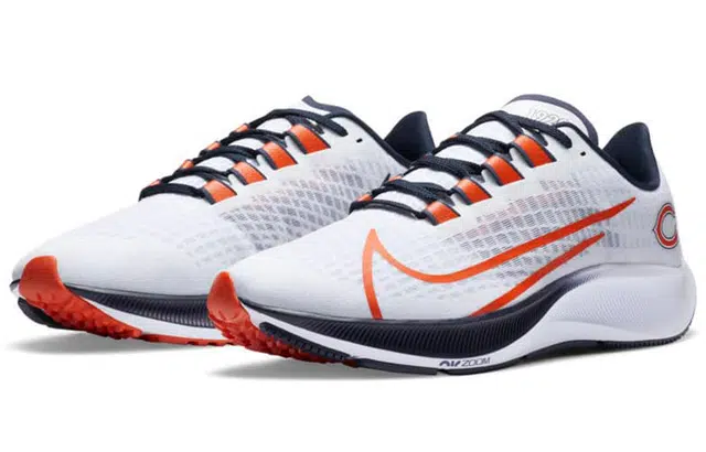 Nike Air Zoom Pegasus 37 "Chicago Bears"