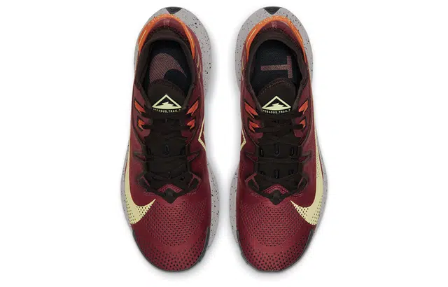 Nike Pegasus Trail 2