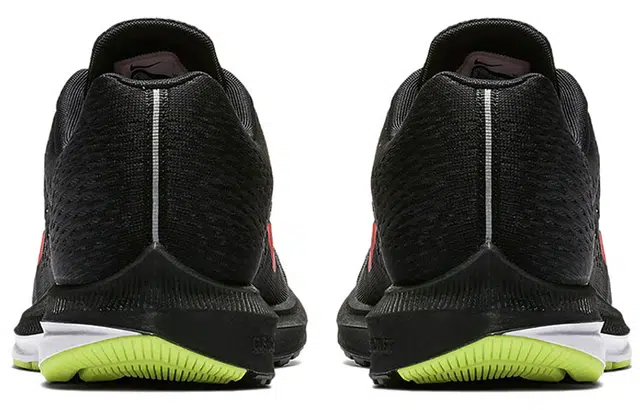 Nike Zoom Winflo 5