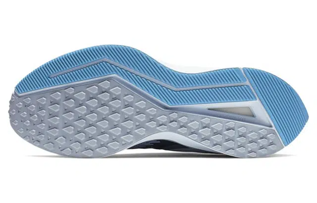 Nike Zoom Winflo 6