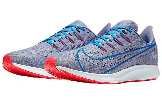 Nike Pegasus 36 JDI