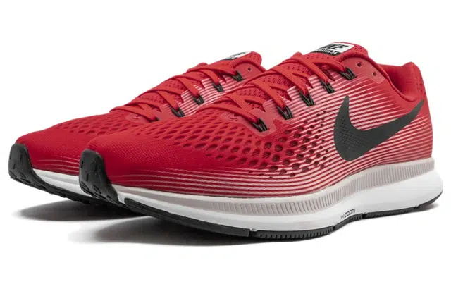 Nike Pegasus 34 Zoom 34