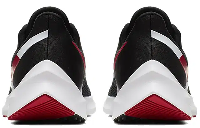 Nike Zoom Winflo 6