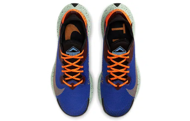 Nike Pegasus Trail 2 Zoom GORE-TEX