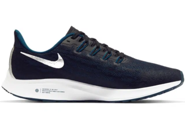 Nike Pegasus 36