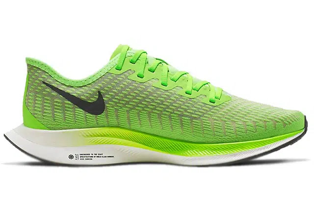 Nike Pegasus turbo 2