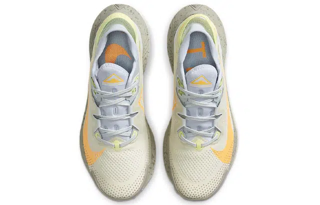 Nike Pegasus Trail 2
