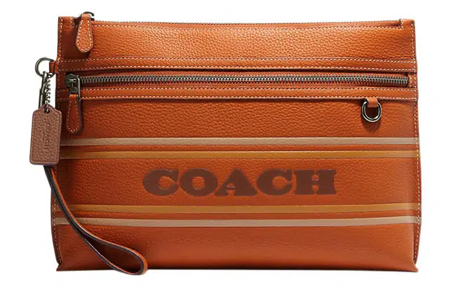 COACH Carry Pouch 29 Logo