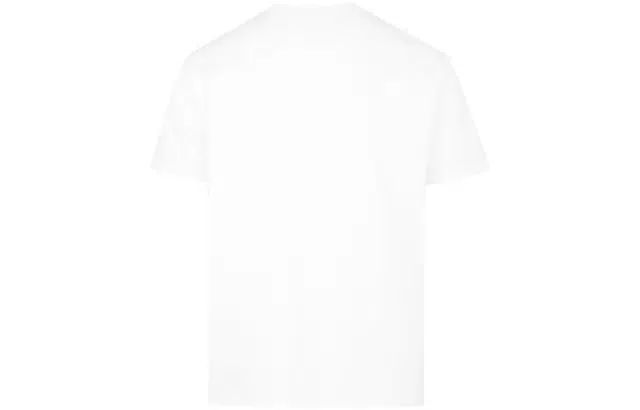 Alexander McQueen T
