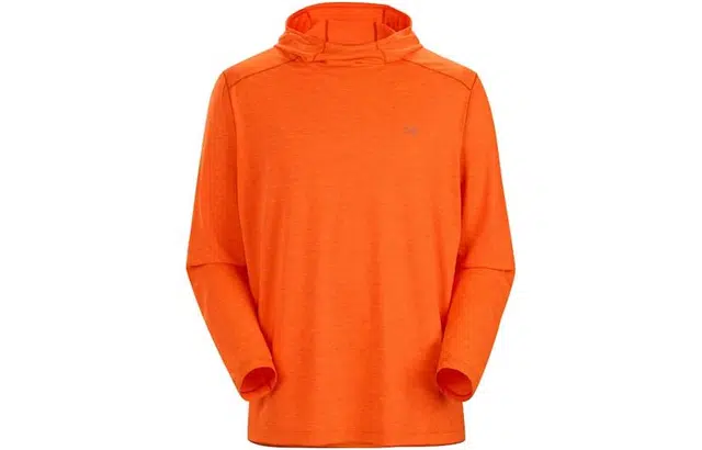 Arcteryx Cormac hoody Logo