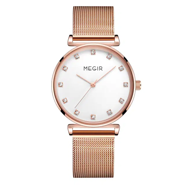 MEGIR MS7001