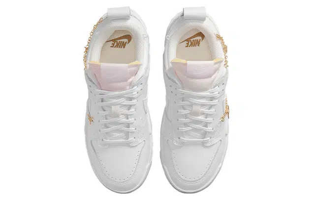 Nike Dunk Low Disrupt
