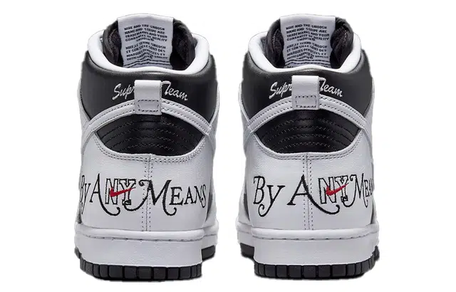 Supreme x Nike Dunk "By Any Means"