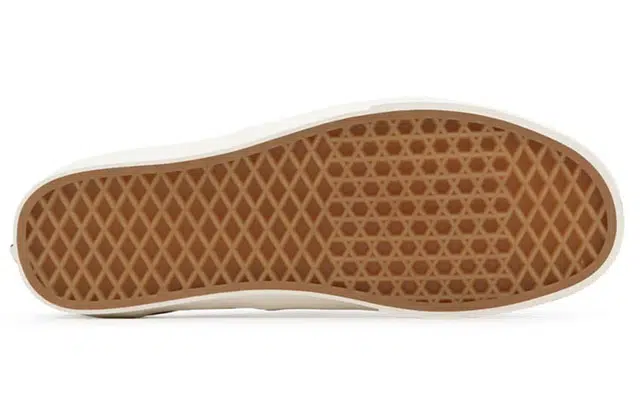 Vans Authentic Eco Theory