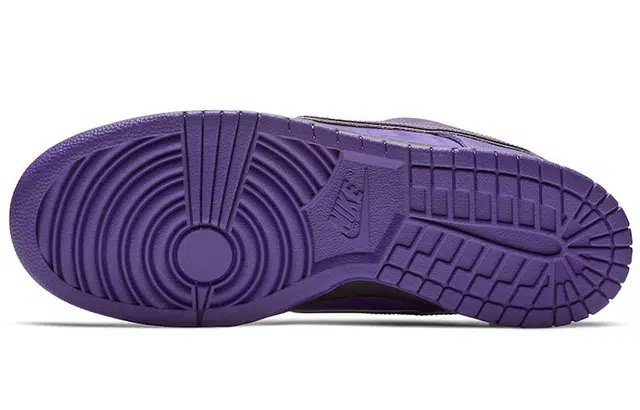 CONCEPTS x Nike Dunk SB Pro