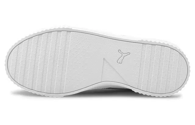 PUMA Carina