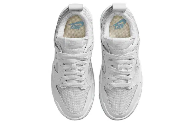 Nike Dunk Disrupt Photon Dust