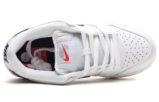Nike Dunk SB Pro