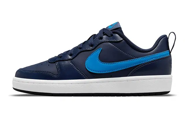 Nike Court Borough Low 2