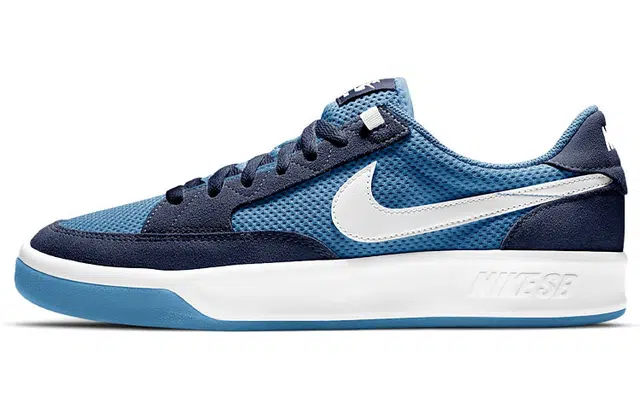 Nike SB Adversary