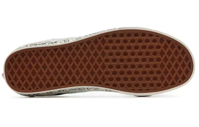 Save Our Planet x Vans SK8 Reissue ""
