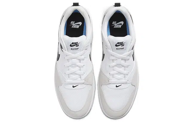 Nike SB Alleyoop