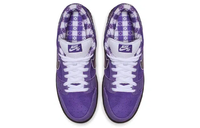 CONCEPTS x Nike Dunk SB Pro