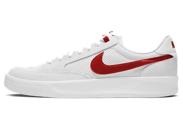 Nike SB Adversary