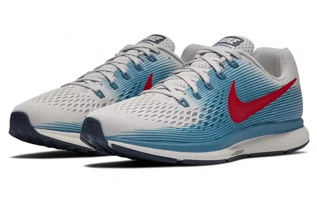 Nike Pegasus 34